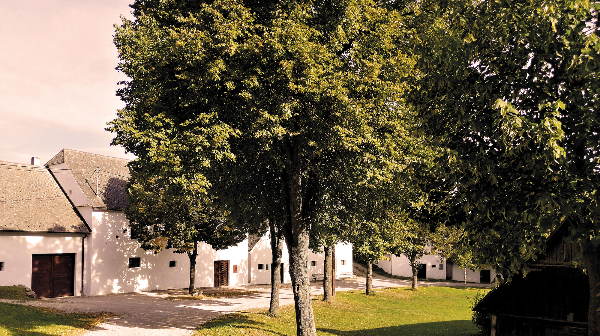 paasdorf_kellergasse_titel